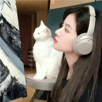 风雪武者
